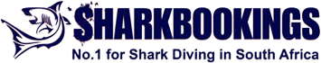 Shark Bookings
